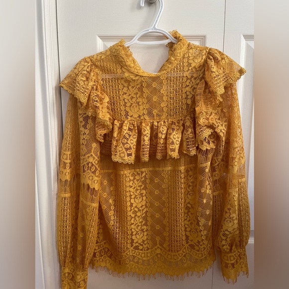 Anthropologie Champagne & Strawberry Victorian ruffle lace blouse - Picture 4 of 4